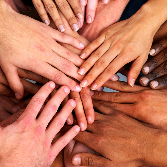 About the Working Group